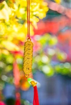 cần đặt giới hạn thua